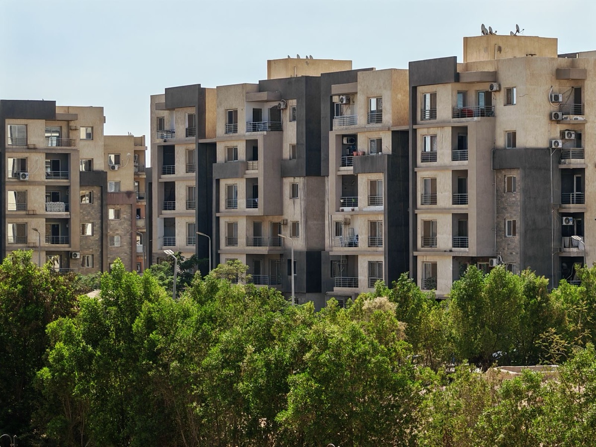 Apartment blocks behind green trees in daylight